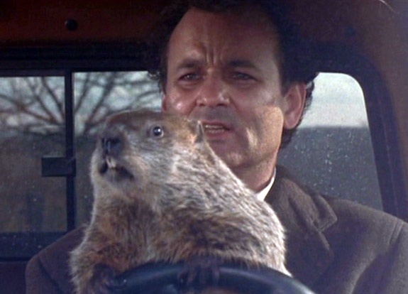 gal-groundhog-day-murray2.jpg